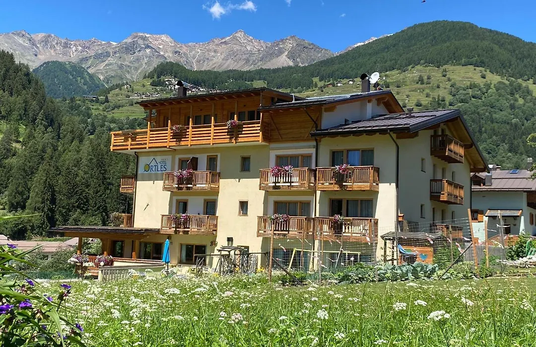 Hotel Ortles Dolomiti Walking & Spa-1